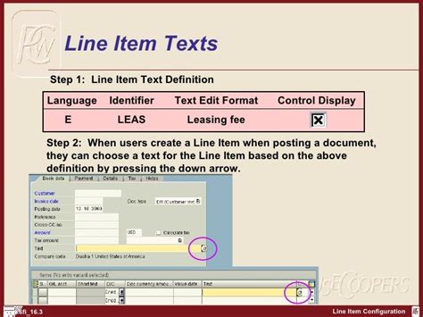 what is line item in sap